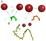 Differences between zinc and iron di-metal interactions with acetyl-CoA.