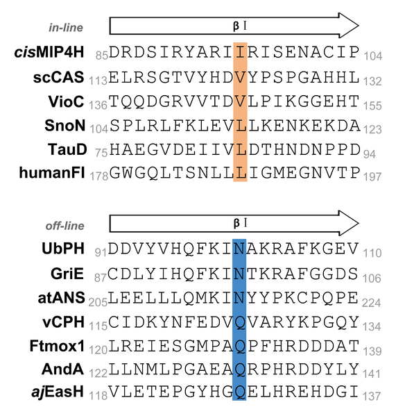 Image:Ubph4.png