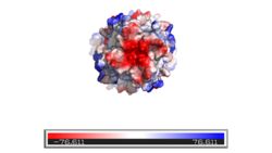 Fig. 1 View of the entrance of the MCU (from the intermembrane space).
