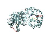 This movie shows the binding of DHAP and the changes that occur during catalysis.