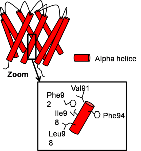 Image:Closed structure.png