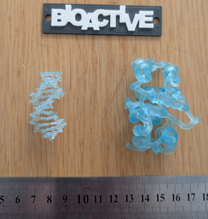 DNA (left) and insulin (right) models, 4bna and 4ins