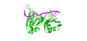 alt=Crystal secondary structure of HN protein with six-bladed β-propeller structure in which the blue color is at the N-terminus and red color is at the C-terminus. The ball and stick represents the carbohydrate where the gray spheres are the metal ions