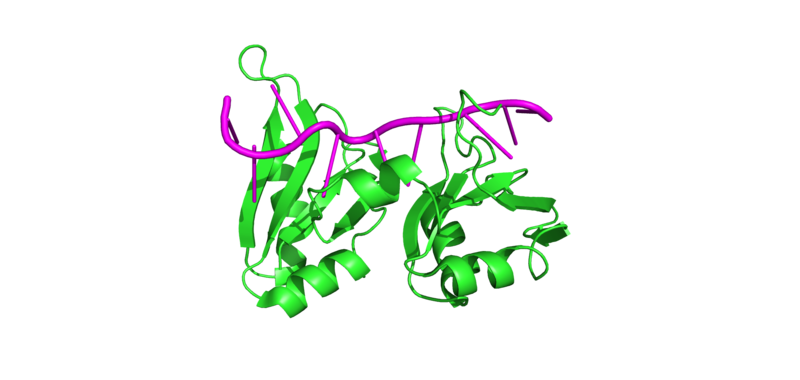 Image:Image 1.png