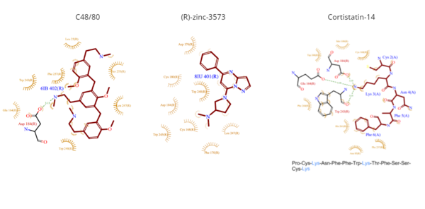 Figure 4. Common MRGPRX2 ligand structures and interactions. Hydrophobic interactions are shown by dashed wheat lines indicating direction. Positive atoms are represented in blue. Negative atoms are represented in red.