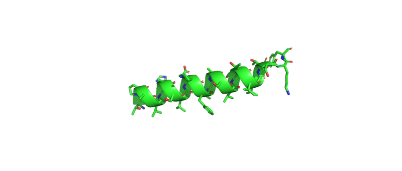 Image:Helix amphipathic.png