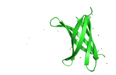 Fig. 5 K11V-TR sideview
