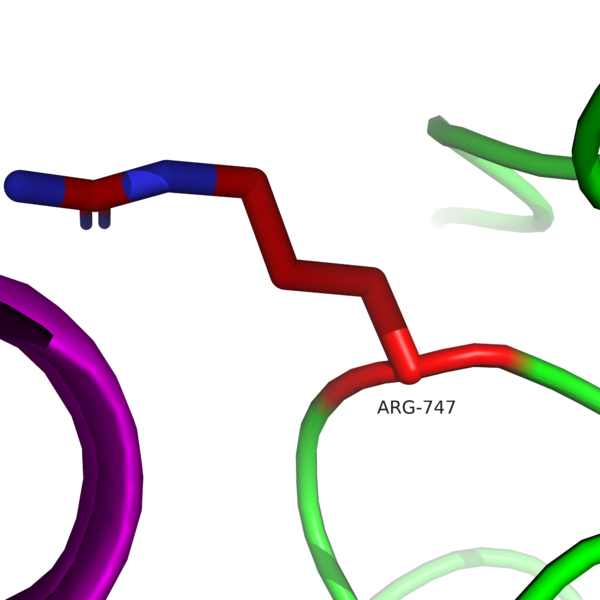 Image:Mutated G747R.png