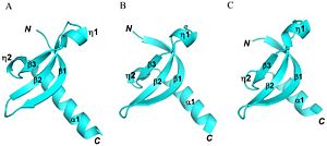 Figure 2 shows the residue and tertiary and Quaternary structure SUV39H1