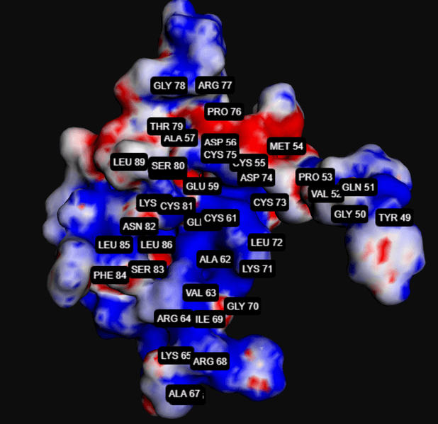 Image:1HY9 positively charged cluster.png