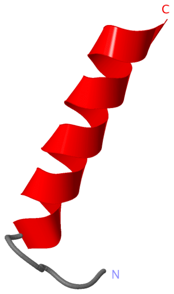 Image:1lbj.png