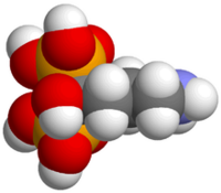 Structure of Alendronate