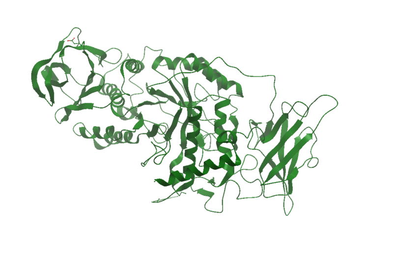 Image:Glycogen Branching Enzyme.png