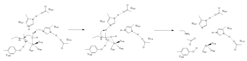Image:Hdac mech.PNG