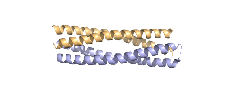 Image:Syn-F4.png