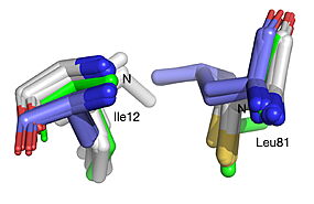 Best fit overlay of the Cɑ positions of SABP2 structures (three structures, light blue carbons) and HbHNL structures (eighteen structures, white carbons) onto the structure of HNL6V (green sticks). The oxyanion hole amide nitrogen atoms of I12 and L81 in HNL6V overlay more closely with the corresponding atoms in HbHNL (I12, C81) than with the corresponding atoms in SABP2 (A13 and L82).