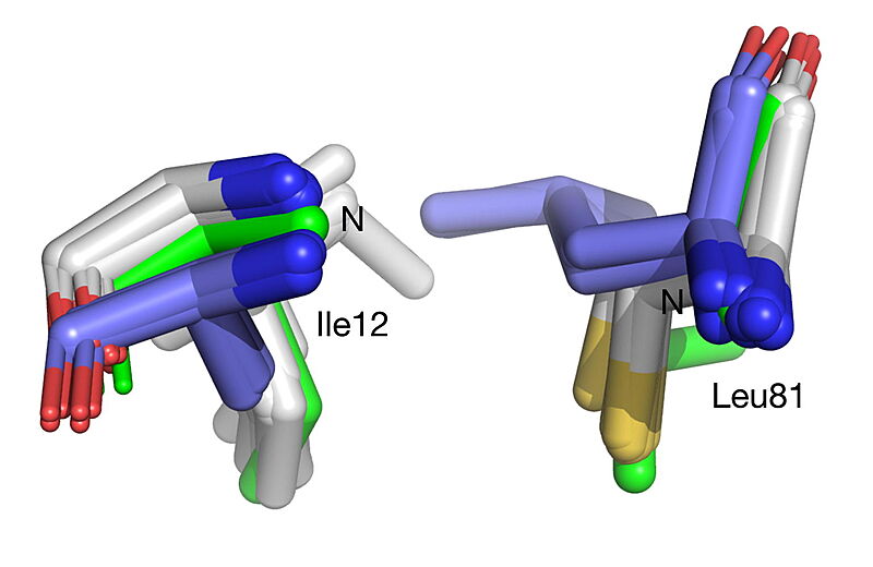 Image:019 Fig 3b.oxyanion label.jpg