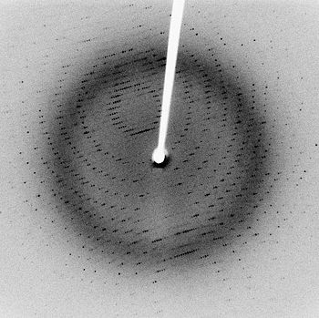 X-Ray Diffration pattern of a crystallized SARS protease at 2.1 Angstrom resolution.