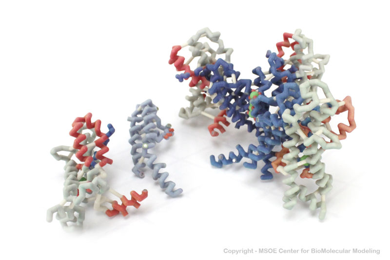 Image:PotassiumChannel 2 centerForBiomolecularModeling.jpg
