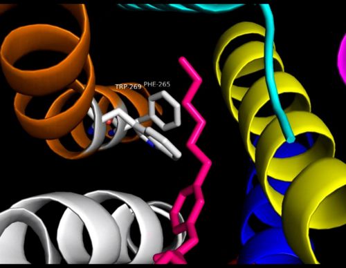 Fig14: Step-1 and 2 of receptor activation(2).