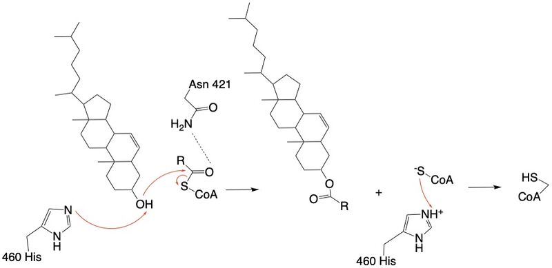 Image:Finalmechanism.jpg