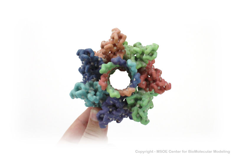 Image:Hemolysin 2 centerForBiomolecularModeling.jpg