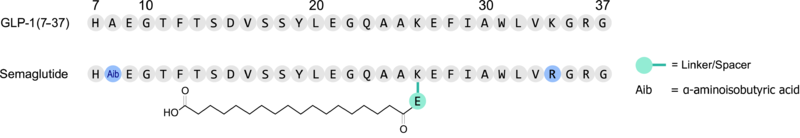 Image:GLP-1 semaglutide.png