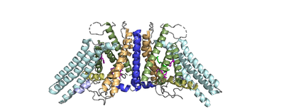 ACAT Dimer