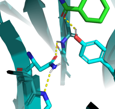 Figure 1. The coolest image of this protein EVAH!!!