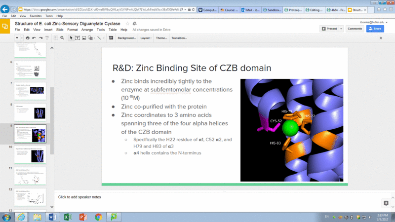 Image:Zn Binding Site DgcZ.gif
