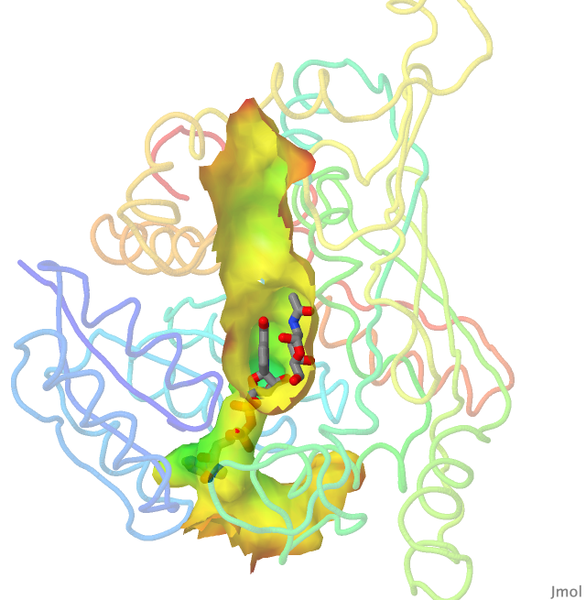 Image:2ixb-tunnel.pngj