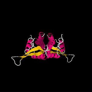 First determined RTP structure. By Bussiere et al. (PDB entry 1BM9)