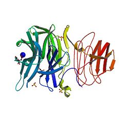 EC 3.2.1.26. (monomer)