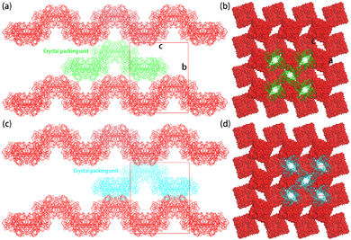 Figure 5 Pentamer of tetramer stacking in the toad NA crystal. (a, b) Side view of two alternative ways of stacking in the middle layer with a translation of (1/2, 0, 1/2). (c, d) Top view of (a, b).