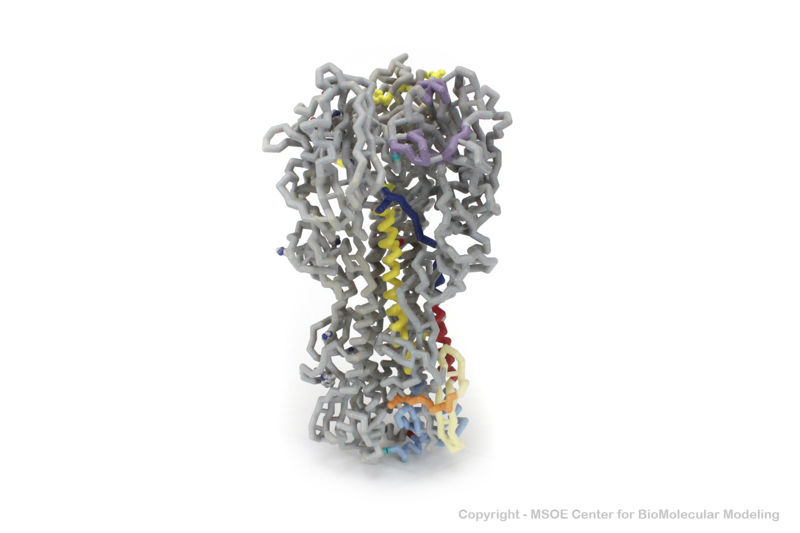 Image:Hemagglutinin1 centerForBioMolecularModeling.jpg