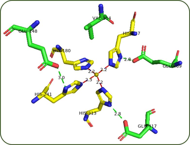 Image:RPE65 Binding Pocket.jpg