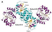 3D Structure of 2-Epimerase