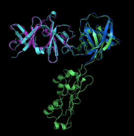 Fig. 1 CheA and CheW alignment for 3UR1 and 4JPB