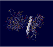 Highly Conserved N-Terminal Helix of the Type IVb Pilin