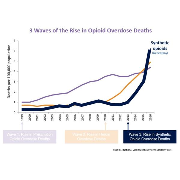 Image:OpioidFatality4.JPG
