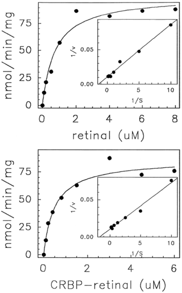 Image:Retinal mm plot.png