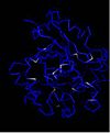 Mutations Associated with INCL