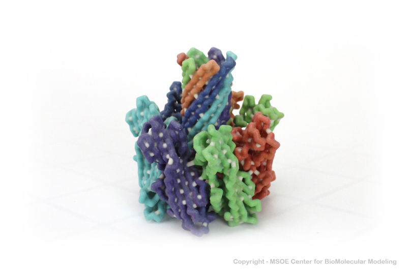 Image:Hemolysin 1 centerForBiomolecularModeling.jpg