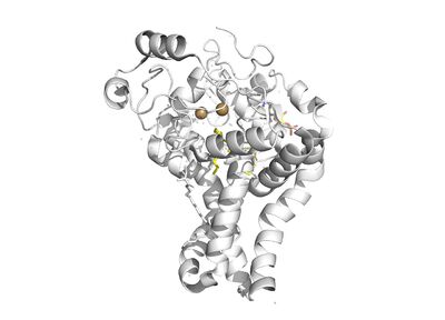 Overall Structure