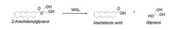 Overall reaction representing the hydrolysis of 2-AG by MGL