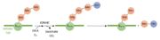 Enzymatic reaction of demethylation of H3K9(me3) and H3K36(me3) by KDM4C