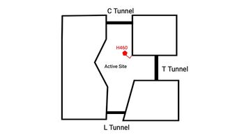 Figure 4. 2D layout of the SOAT tunnel system. The C tunnel opens into the cytosol and the L tunnel opens to the lumen. The T tunnel opens into the membrane, but is not quite oriented at 90 degree as depicted here.