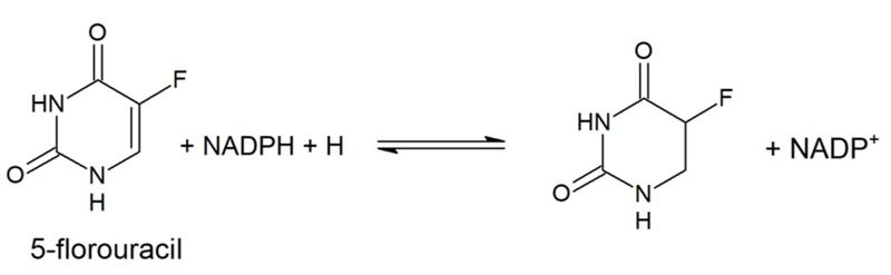 Image:5FU reduction .jpg