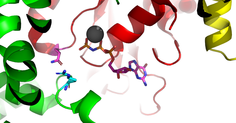 Image:Active site edited.png