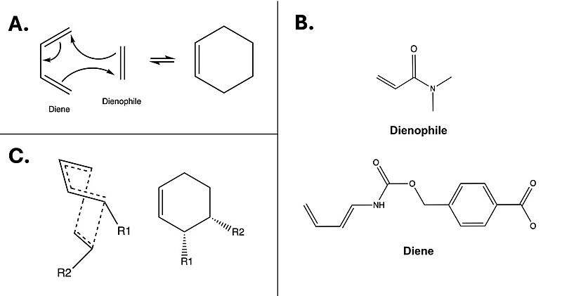 Image:Diels-Aldcombo.jpeg
